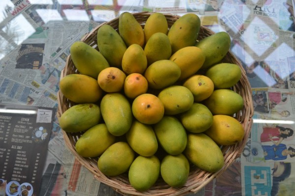 Dasheri-Mangoes
