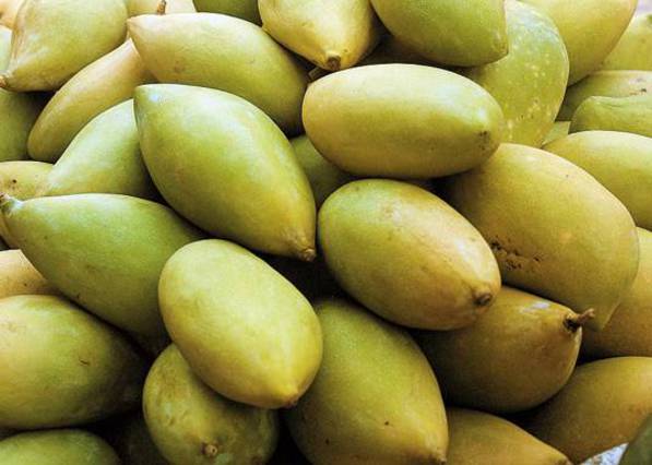 Totapuri-mangoes
