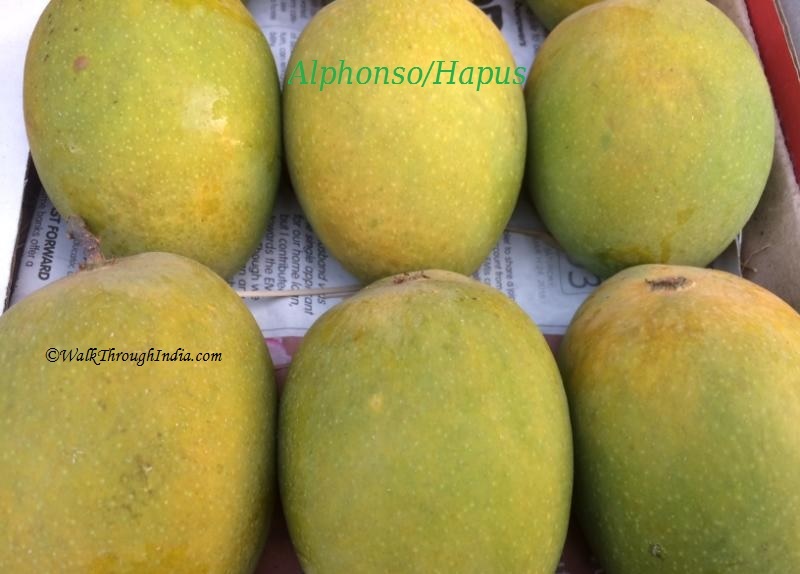 Top 12 Most Famous Varieties Of Indian Mangoes India is the largest producer of mangoes in the world, follow the link to know more. walkthroughindia