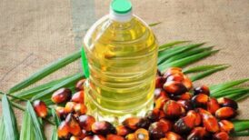 Palm-oil-India